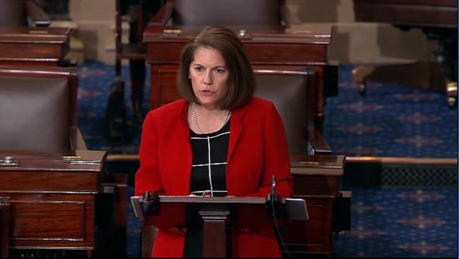 Background Checks Floor Speech